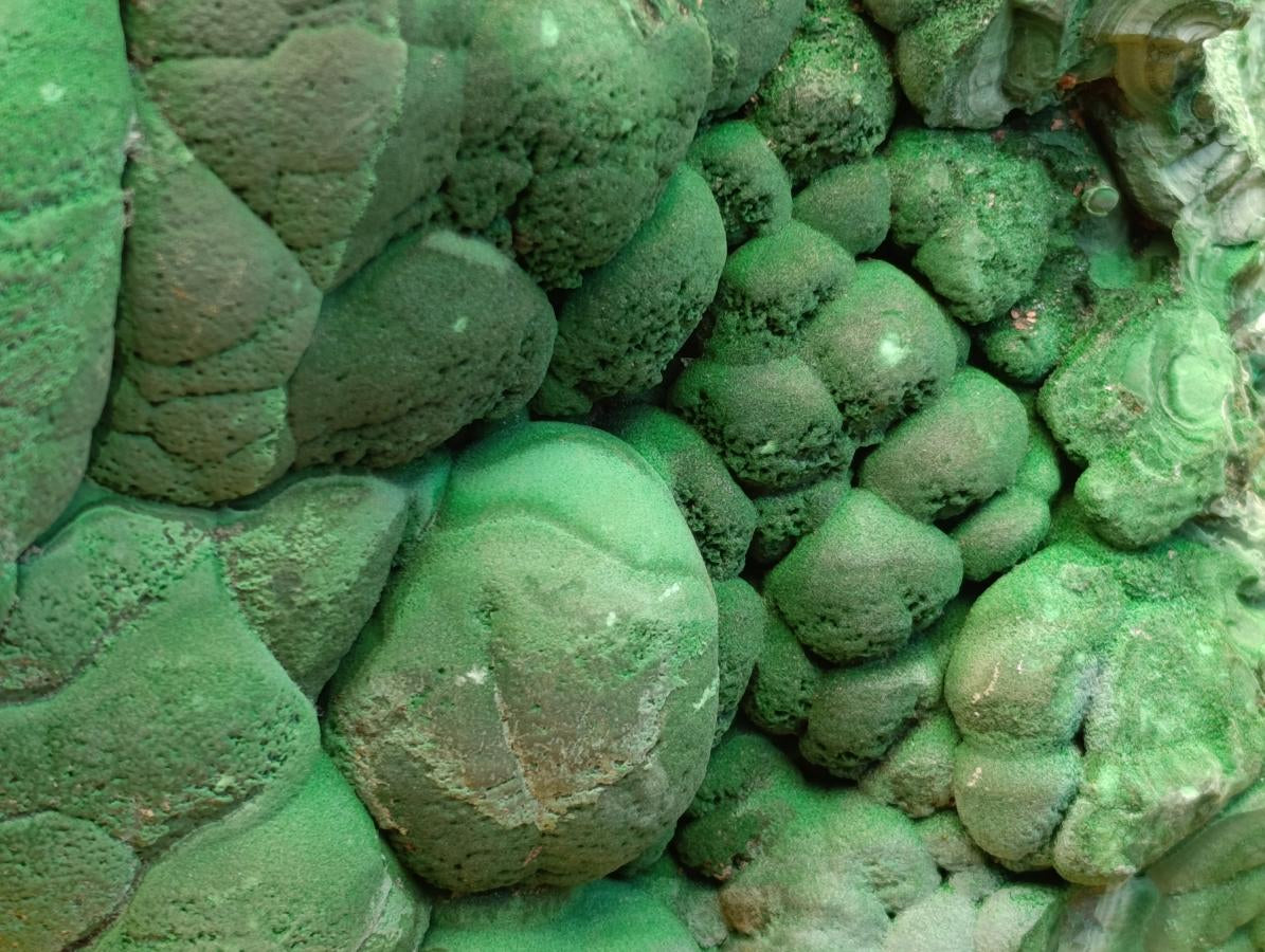 Natural XXL Botryoidal Malachite Specimen x 1 From Congo - Toprock Gemstones and Minerals 