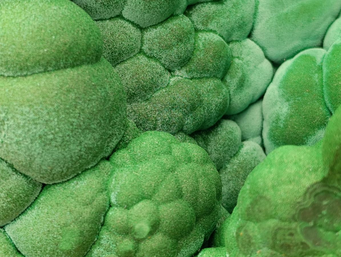 Natural XXL Botryoidal Malachite Specimen x 1 From Congo