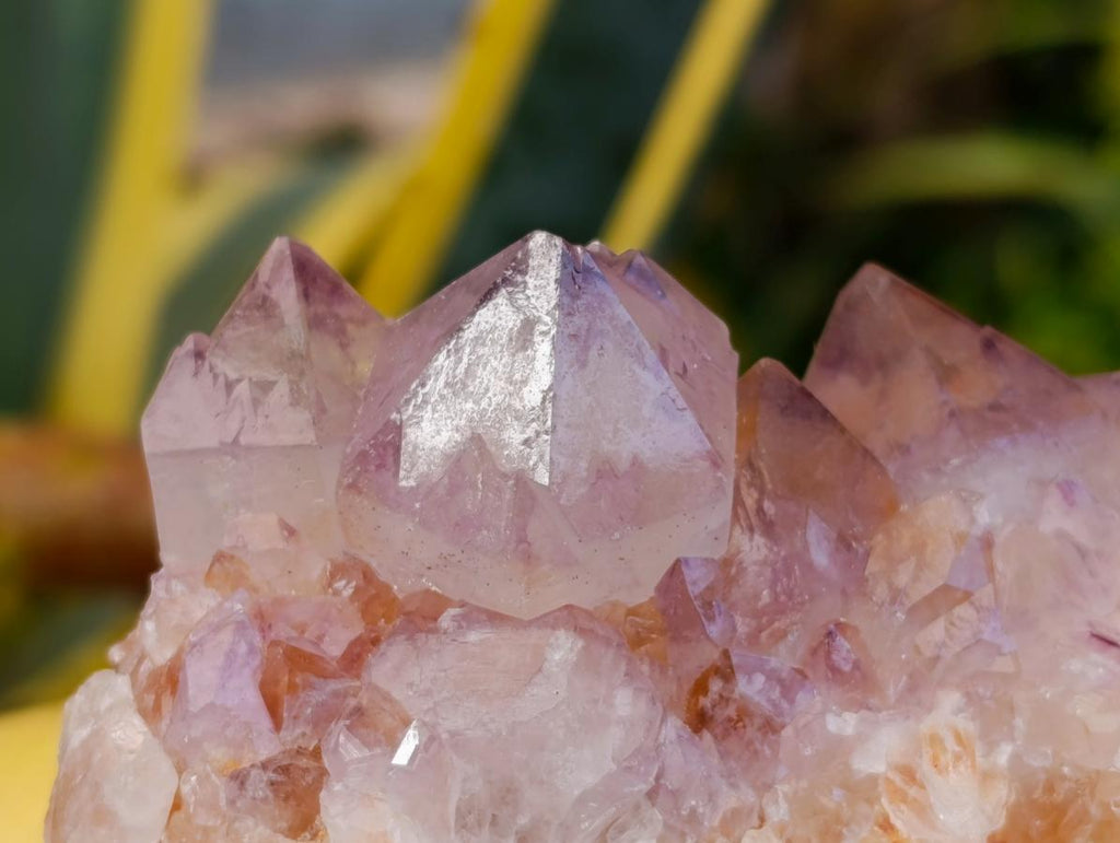 Natural Amethyst Spirit Clusters x 3 From Boekenhouthoek, South Africa