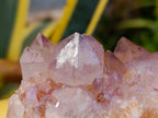Natural Amethyst Spirit Clusters x 3 From Boekenhouthoek, South Africa