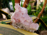 Natural Amethyst Spirit Clusters x 3 From Boekenhouthoek, South Africa
