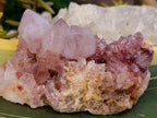 Natural Amethyst Spirit Clusters x 3 From Boekenhouthoek, South Africa