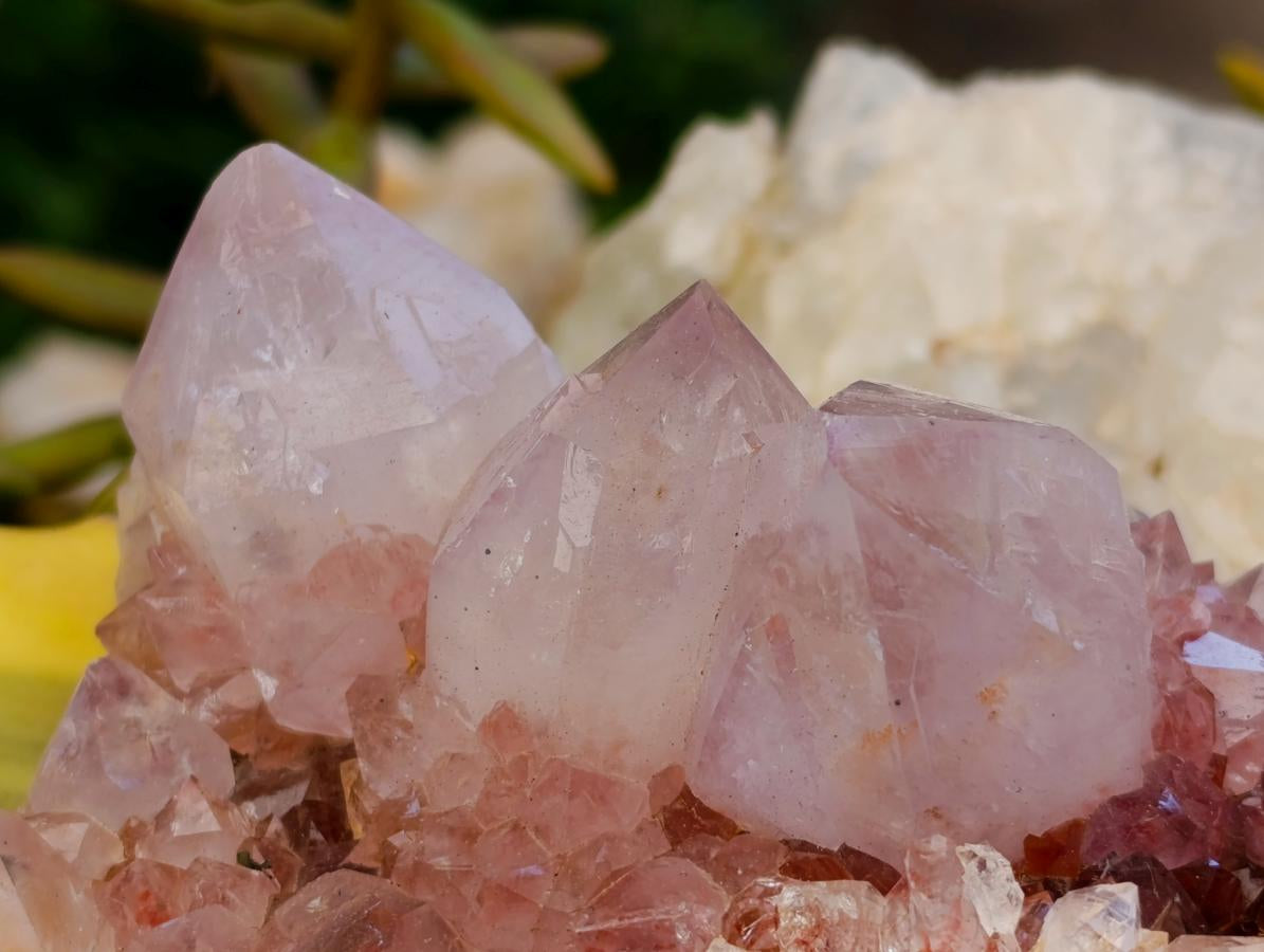 Natural Amethyst Spirit Clusters x 3 From Boekenhouthoek, South Africa