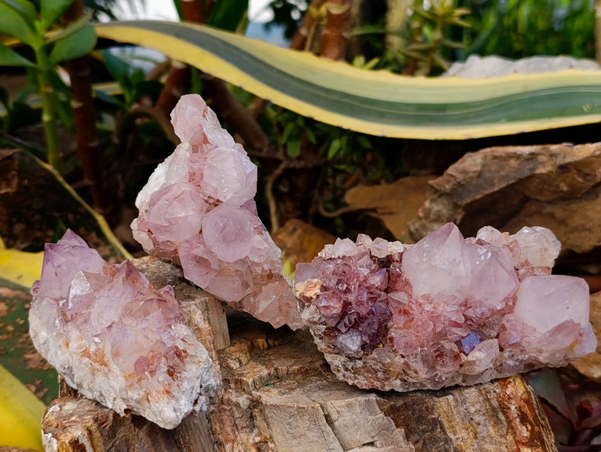Natural Amethyst Spirit Clusters x 3 From Boekenhouthoek, South Africa