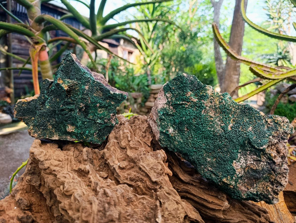 Natural Crystalline Botryoidal Malachite Specimens x 2 From Tenke Fungurume, Congo