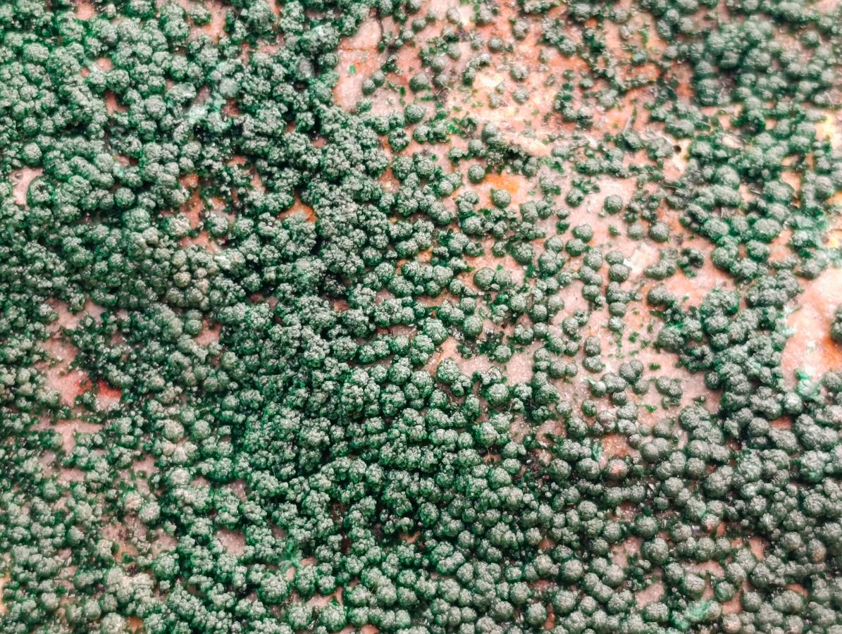 Natural Crystalline Botryoidal Malachite Specimens x 2 From Tenke Fungurume, Congo