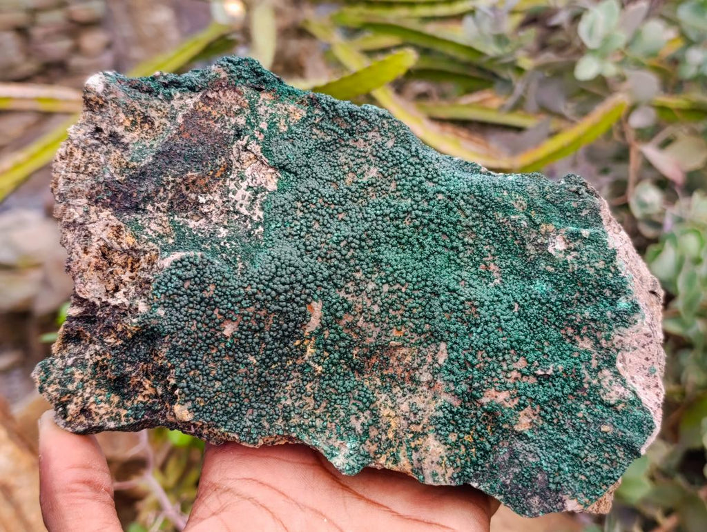 Natural Crystalline Botryoidal Malachite Specimens x 2 From Tenke Fungurume, Congo