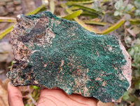 Natural Crystalline Botryoidal Malachite Specimens x 2 From Tenke Fungurume, Congo