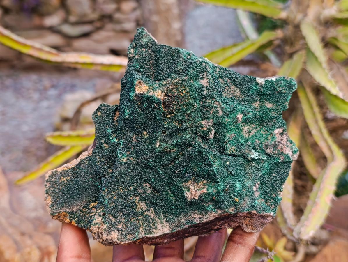 Natural Crystalline Botryoidal Malachite Specimens x 2 From Tenke Fungurume, Congo