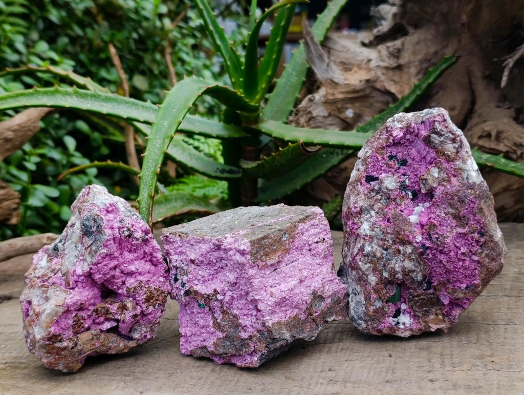Natural Salrose Cobaltion Dolomite With Malachite Specimens x 3 From Kakanda, Congo