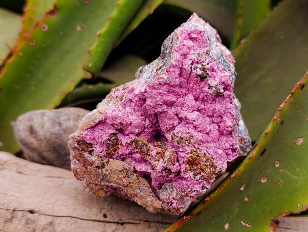 Natural Salrose Cobaltion Dolomite With Malachite Specimens x 3 From Kakanda, Congo