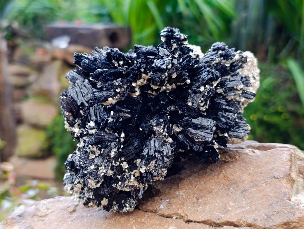 Natural Large Schorl Black Tourmaline With Mica x 1 From Erongo, Namibia