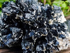 Natural Large Schorl Black Tourmaline With Mica x 1 From Erongo, Namibia