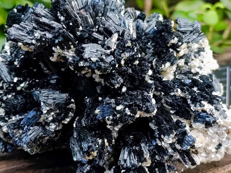 Natural Large Schorl Black Tourmaline With Mica x 1 From Erongo, Namibia