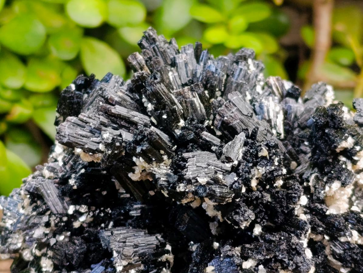 Natural Large Schorl Black Tourmaline With Mica x 1 From Erongo, Namibia