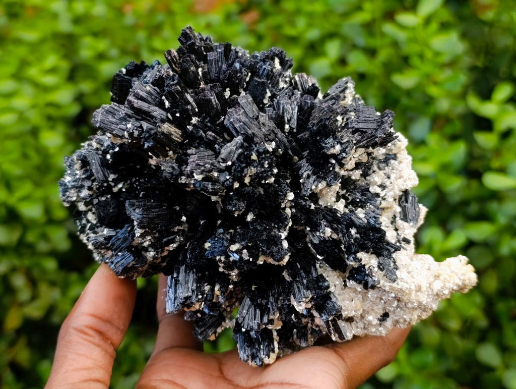 Natural Large Schorl Black Tourmaline With Mica x 1 From Erongo, Namibia