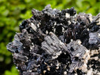 Natural Large Schorl Black Tourmaline With Mica x 1 From Erongo, Namibia