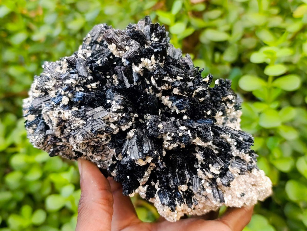 Natural Large Schorl Black Tourmaline With Mica x 1 From Erongo, Namibia