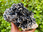 Natural Large Schorl Black Tourmaline With Mica x 1 From Erongo, Namibia