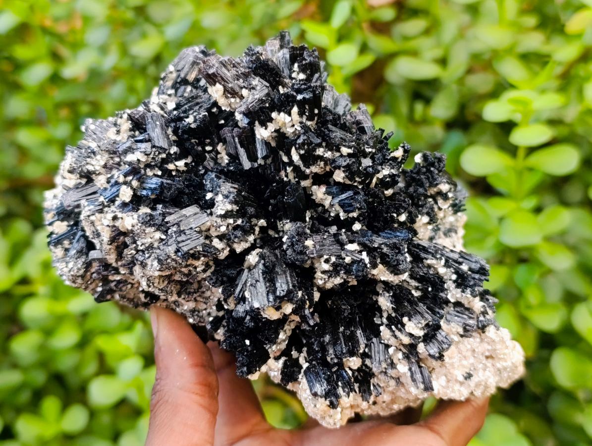 Natural Large Schorl Black Tourmaline With Mica x 1 From Erongo, Namibia