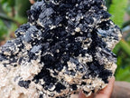 Natural Large Schorl Black Tourmaline With Mica x 1 From Erongo, Namibia