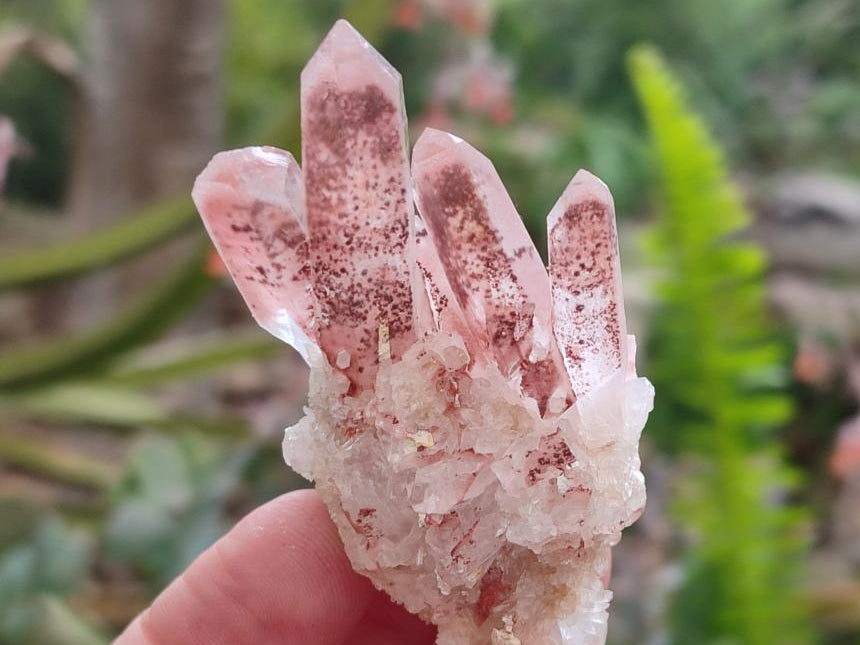 Natural Quartz Crystal Clusters x 12 From Madagascar