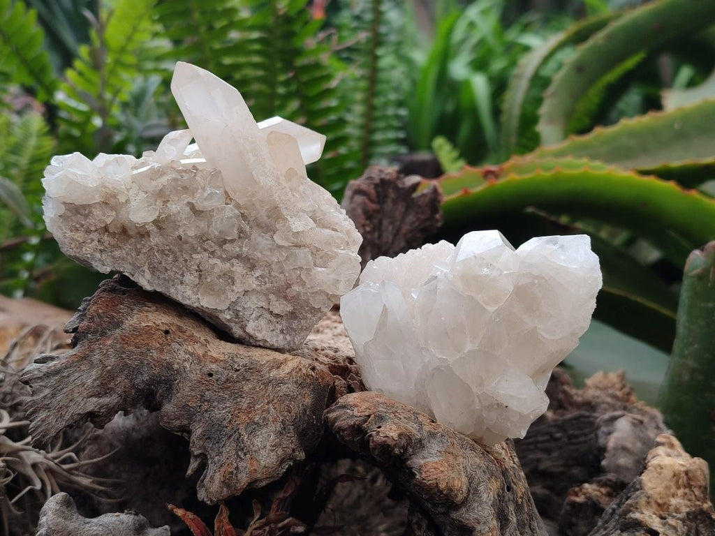 Natural Quartz Crystal Clusters x 12 From Madagascar