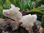 Natural Quartz Crystal Clusters x 12 From Madagascar