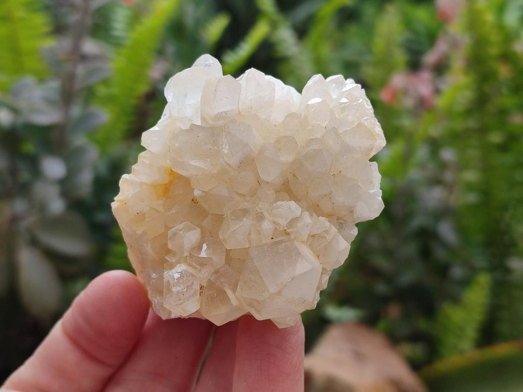 Natural Quartz Crystal Clusters x 12 From Madagascar