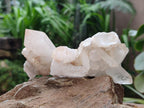 Natural Quartz Crystal Clusters x 12 From Madagascar
