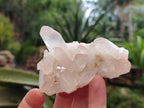Natural Quartz Crystal Clusters x 12 From Madagascar