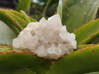 Natural Quartz Crystal Clusters x 12 From Madagascar