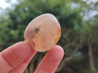 Polished Flower Agate Standing Free Forms x 35 From Antsahalova, Madagascar