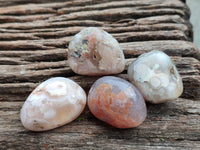 Polished Flower Agate Standing Free Forms x 35 From Antsahalova, Madagascar