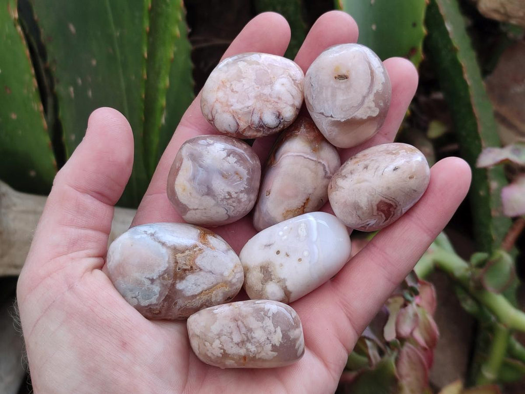 Polished Flower Agate Standing Free Forms x 35 From Antsahalova, Madagascar - Toprock Gemstones and Minerals 