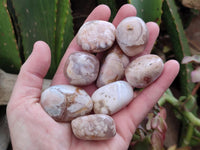 Polished Flower Agate Standing Free Forms x 35 From Antsahalova, Madagascar
