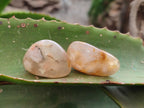 Polished Flower Agate Standing Free Forms x 35 From Antsahalova, Madagascar - Toprock Gemstones and Minerals 