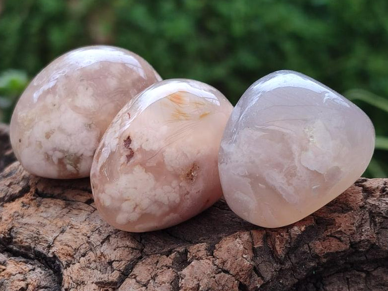 Polished Flower Agate Standing Free Forms x 35 From Antsahalova, Madagascar