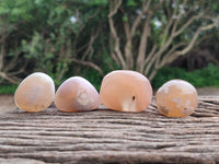 Polished Flower Agate Standing Free Forms x 35 From Antsahalova, Madagascar