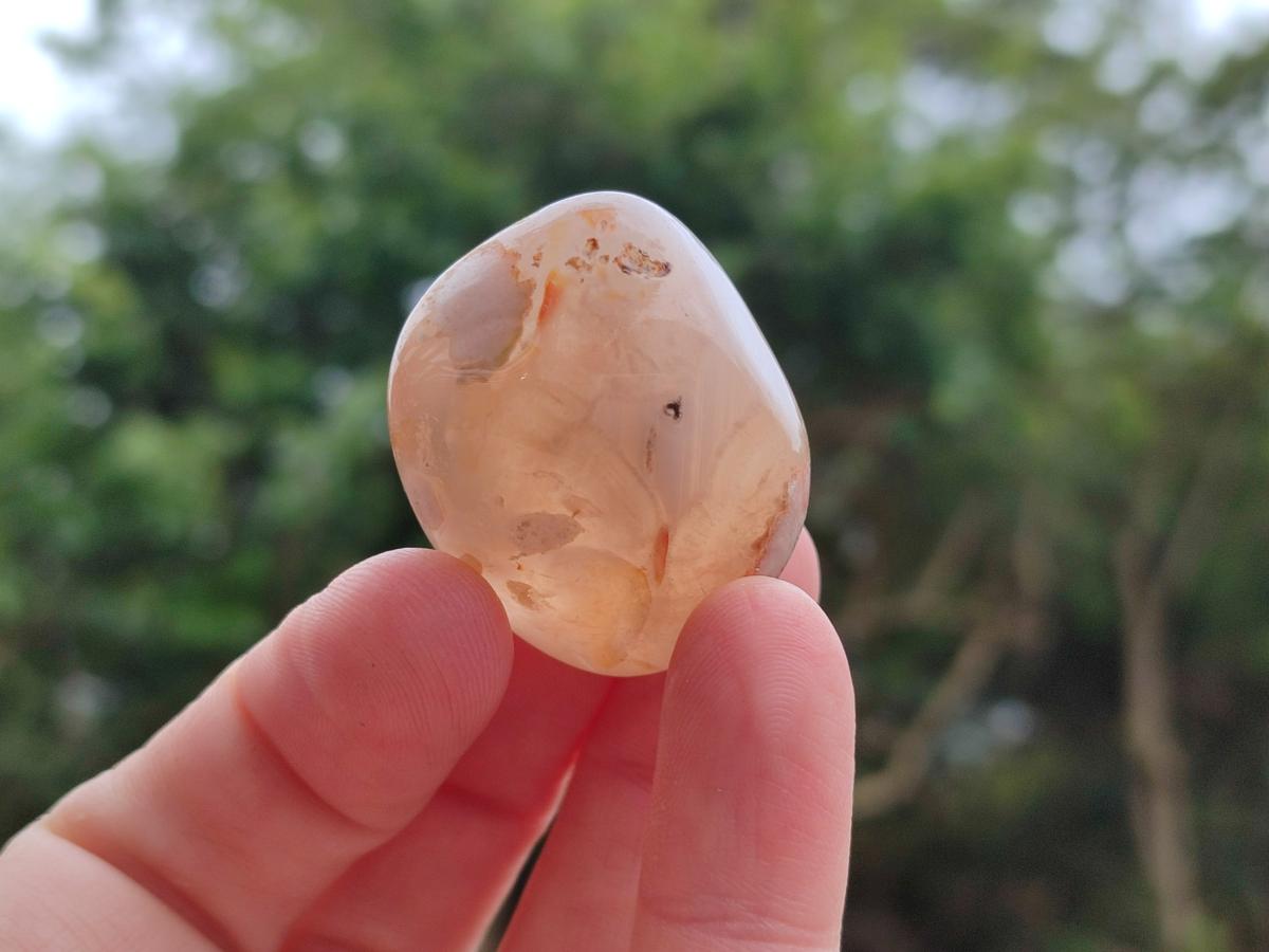 Polished Flower Agate Standing Free Forms x 35 From Antsahalova, Madagascar - Toprock Gemstones and Minerals 