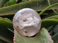 Polished Clear Quartz Crystal Balls x 3 From Madagascar