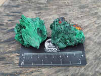 Natural Silky Malachite Specimens x 12 From Kasompe, Congo