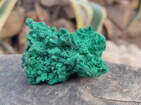 Natural Silky Malachite Specimens x 12 From Kasompe, Congo