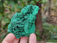 Natural Silky Malachite Specimens x 12 From Kasompe, Congo