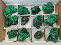 Natural Silky Malachite Specimens x 12 From Kasompe, Congo