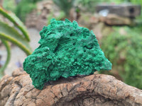 Natural Silky Malachite Specimens x 12 From Kasompe, Congo