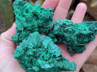Natural Silky Malachite Specimens x 12 From Kasompe, Congo
