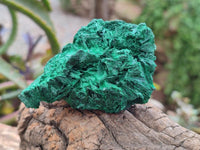 Natural Silky Malachite Specimens x 12 From Kasompe, Congo