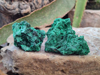Natural Silky Malachite Specimens x 12 From Kasompe, Congo
