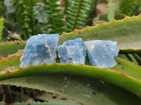 Natural Mini Sky Blue Calcite Specimens x 70 From Namibia